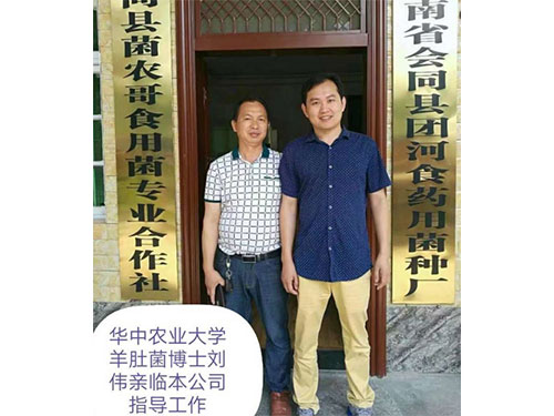 湖南創(chuàng)蕈農(nóng)業(yè)科技有限公司,懷化食用菌種植銷售,懷化羊肚菌種植銷售,懷化赤松茸種植銷售 湖南創(chuàng)蕈農(nóng)業(yè)科技有限公司,懷化食用菌種植銷售,懷化羊肚菌種植銷售,懷化赤松茸種植銷售