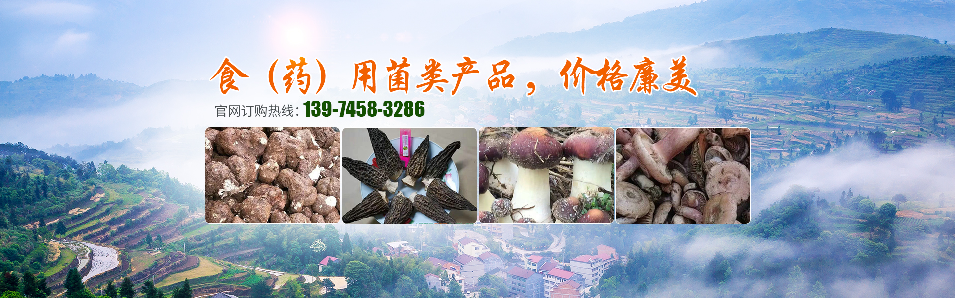 湖南創(chuàng)蕈農(nóng)業(yè)科技有限公司_懷化食用菌種植銷(xiāo)售|懷化羊肚菌種植銷(xiāo)售|懷化赤松茸種植銷(xiāo)售